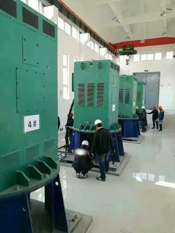 YKS6304-10/1400KW某污水处理厂使用我厂的立式高压电机安装现场